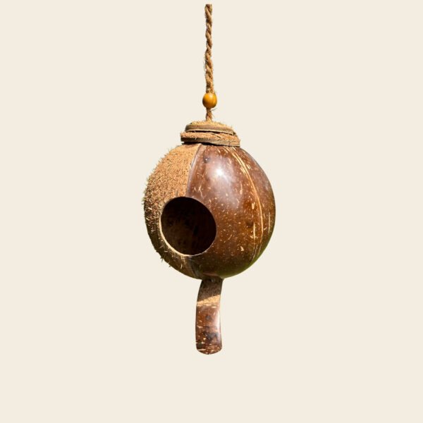 Shell Bird Nest - Image 6