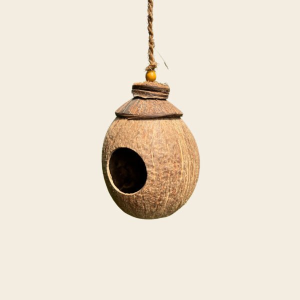 Shell Bird Nest - Image 2