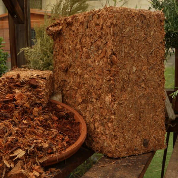 Peat-Free Grower - Image 6