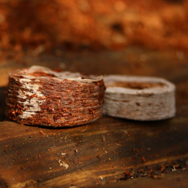 Coir Coins by Salike® 38mm pack of 50 - Image 4