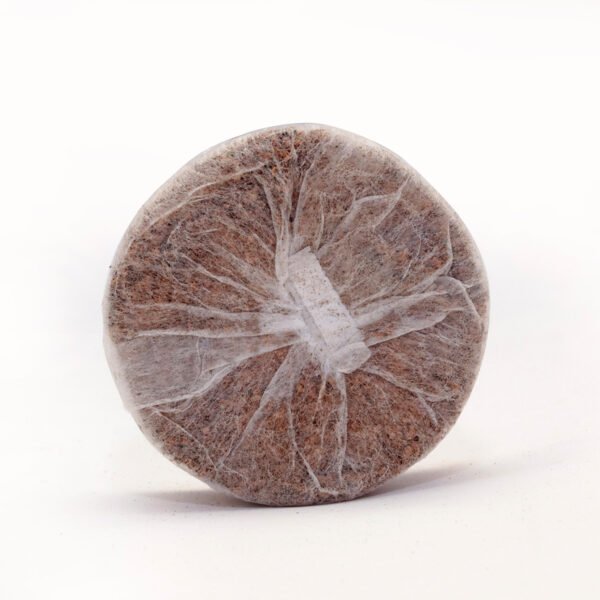 Coir Coins by Salike® 38mm pack of 50 - Image 5