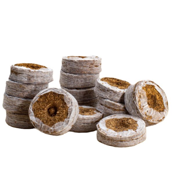 Coir Coins by Salike® 38mm pack of 50 - Image 7