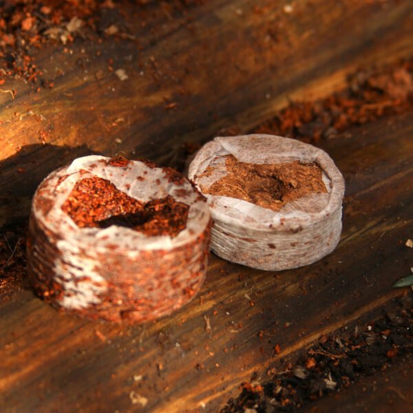 Coir Coins by Salike ® 42mm pack of 50 - Image 6