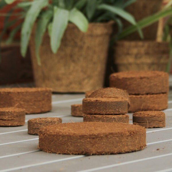 Coir discs 13cm pack of 5 - Image 2