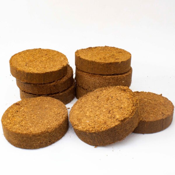 Coir discs 10cm pack of 10 - Image 2