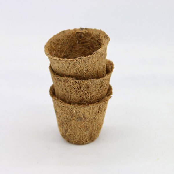 Coir pots 5cm 20 pack - Image 2