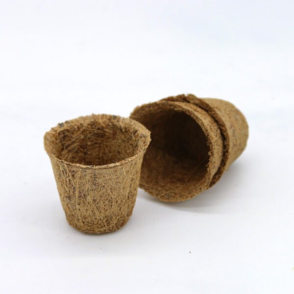 Coir pots 5cm 20 pack - Image 3