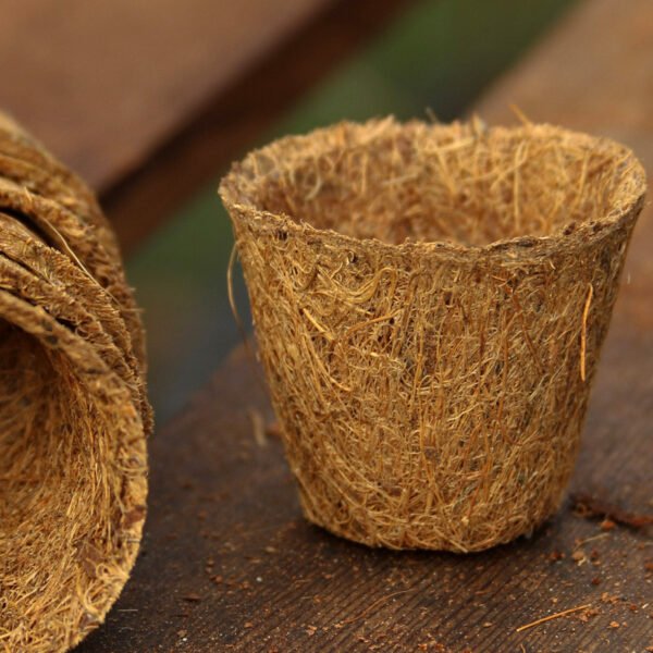 Coir pots 5cm 20 pack - Image 4