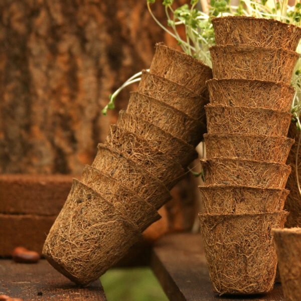 Coir pots 5cm 20 pack - Image 5