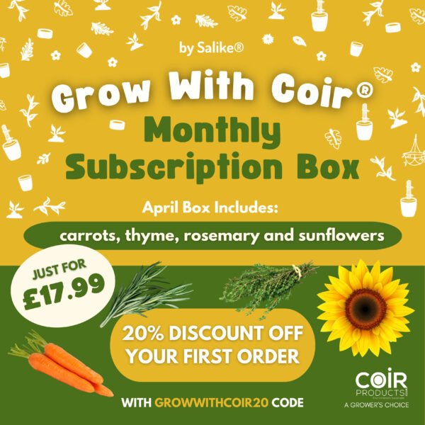 april sunscription