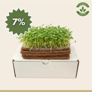 Coir Microgreen Sheets 17cm x 10cm – Natural, Sustainable Growing Starts Here