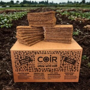 Coir Microgreen Sheets 14.5cm x 7.5cm – Natural, Sustainable Growing Starts Here