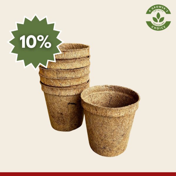 17cm Coir pots pack of 6