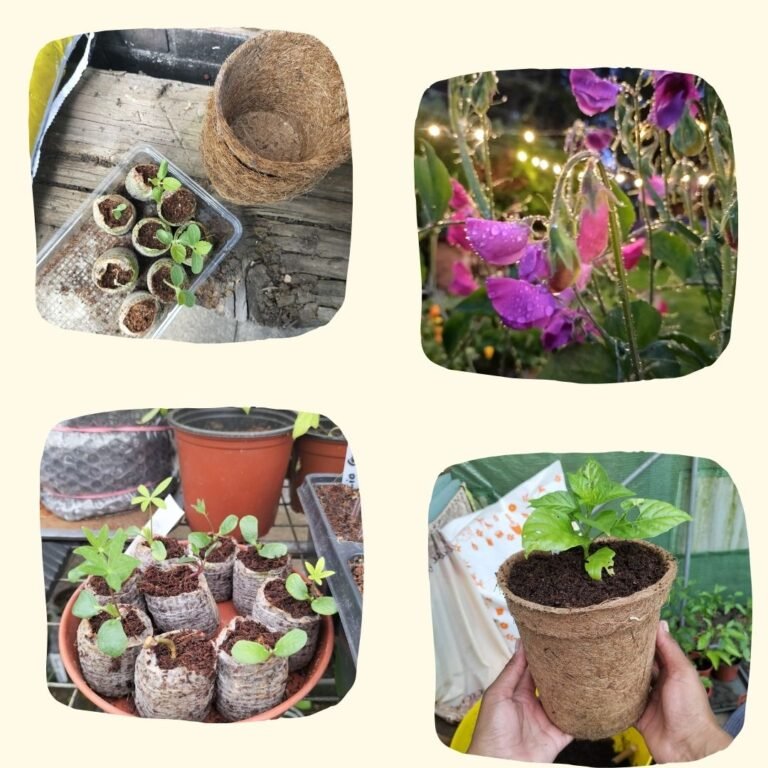 Featured Grower 30-08