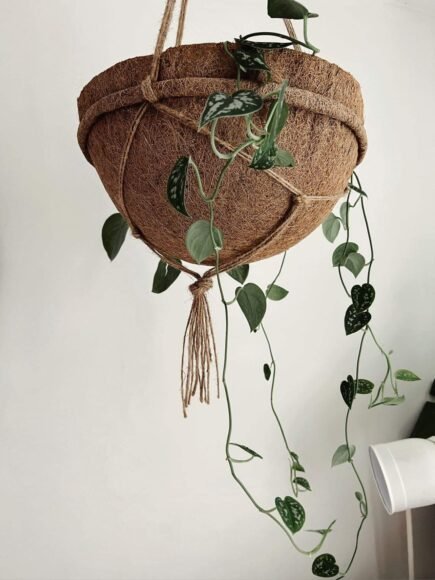 Coir Hanging Baskets