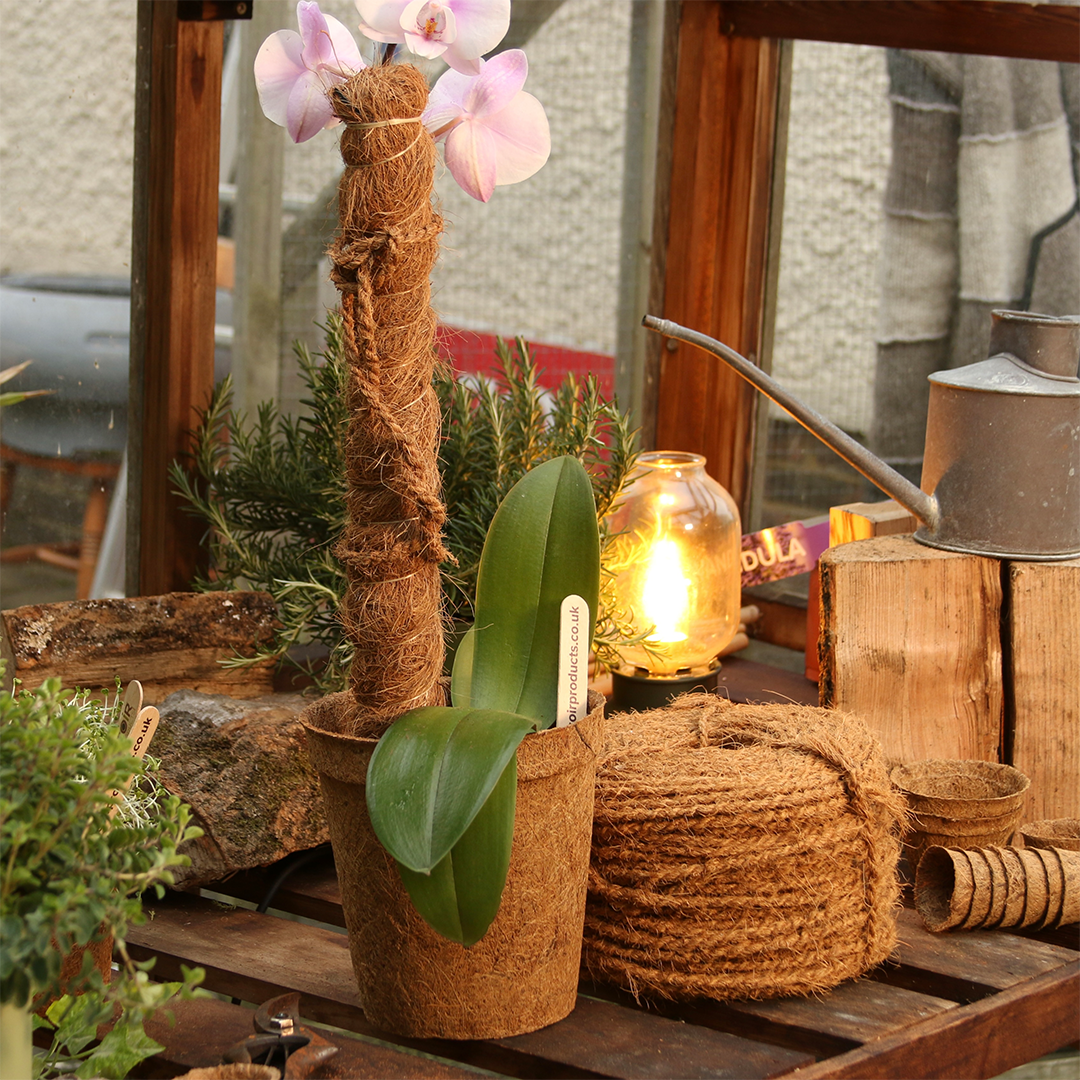 CoirProducts Coir Grow Poles | Moss pole | Coir Fibre Plant Support Stakes for Vegetables, Cheese Plants, Flowers & Climbing Plants - Image 4