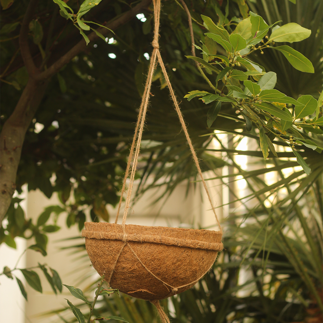 CoirProducts Hanging Baskets | Premium Biodegradable Coconut Fibre Baskets for Flowers, Herbs & Container Plants - Image 5