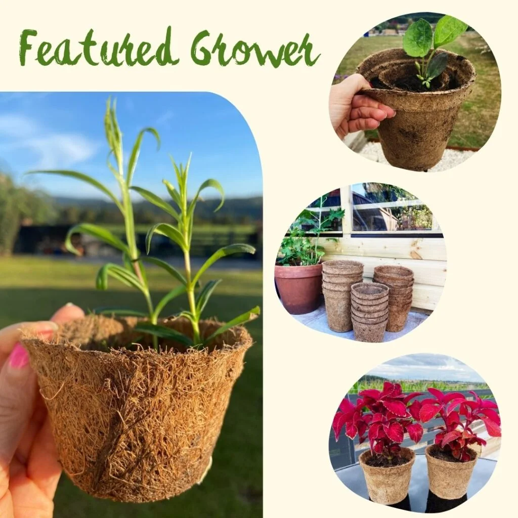 A grower’s choice with Jo: “My houseplants definitely prefer coir”