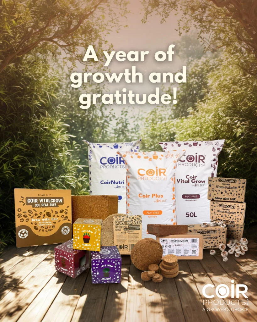 A Year of Growth and Gratitude