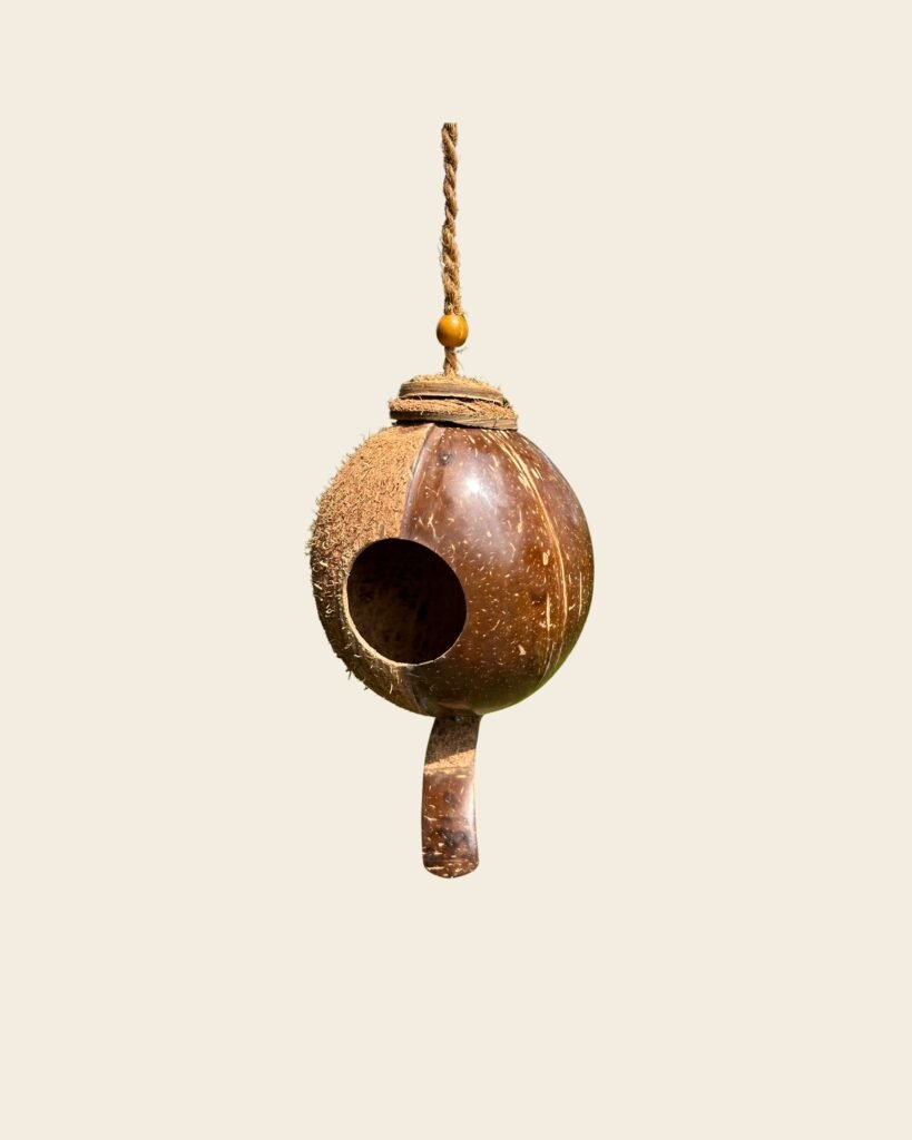 CoirProducts Shell Bird Nest