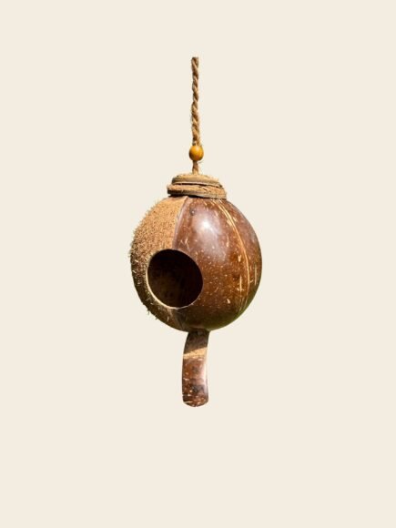 CoirProducts Shell Bird Nest