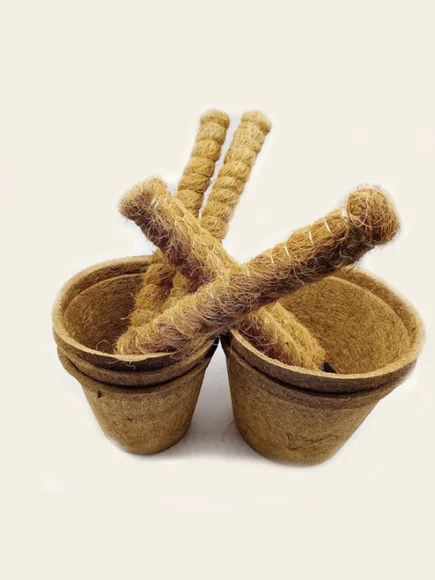 Indoor coir pots for creepers