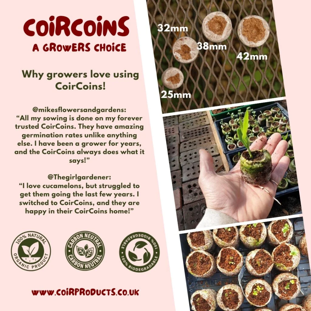 The secret to successful seed germination: CoirProducts CoirCoins