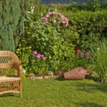 End of Summer Gardening_ Preparing Your Garden for Autumn with Sustainability in Mind