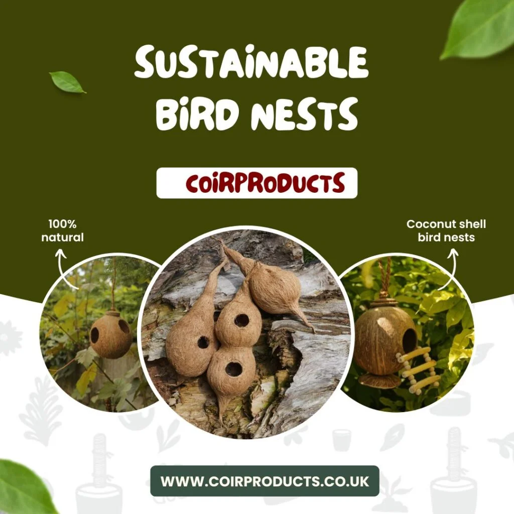 Creating safe havens for birds: how your garden can make a difference