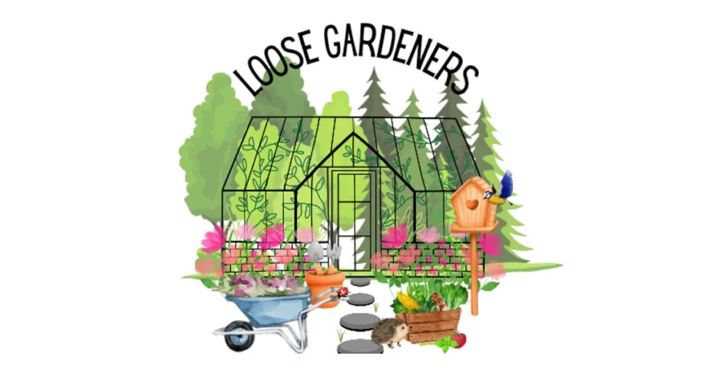 Building connections and community