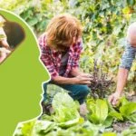 The physical, mental, and social benefits of gardening