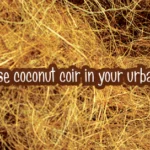 Coconut Coir: What it is and How to Use It in Your Urban Garden