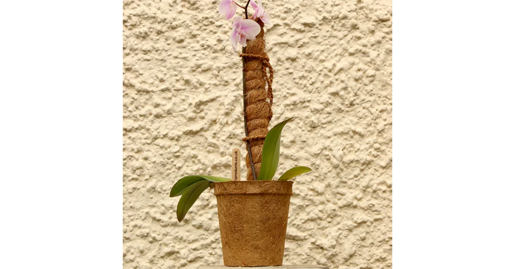 Coir moss poles: how to use them and what are their benefits