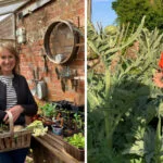 Fun, productive, and therapeutic