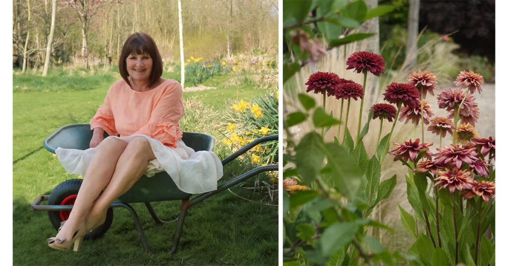 Get to know your garden