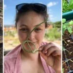 Look after your soil