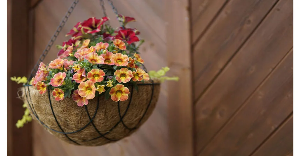 CoirProducts hanging baskets: how to use and what to grow