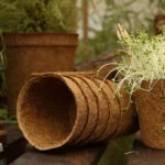 How can gardening help reduce anxiety?