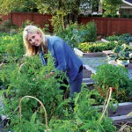 How to control weeds in your urban garden without using pesticide