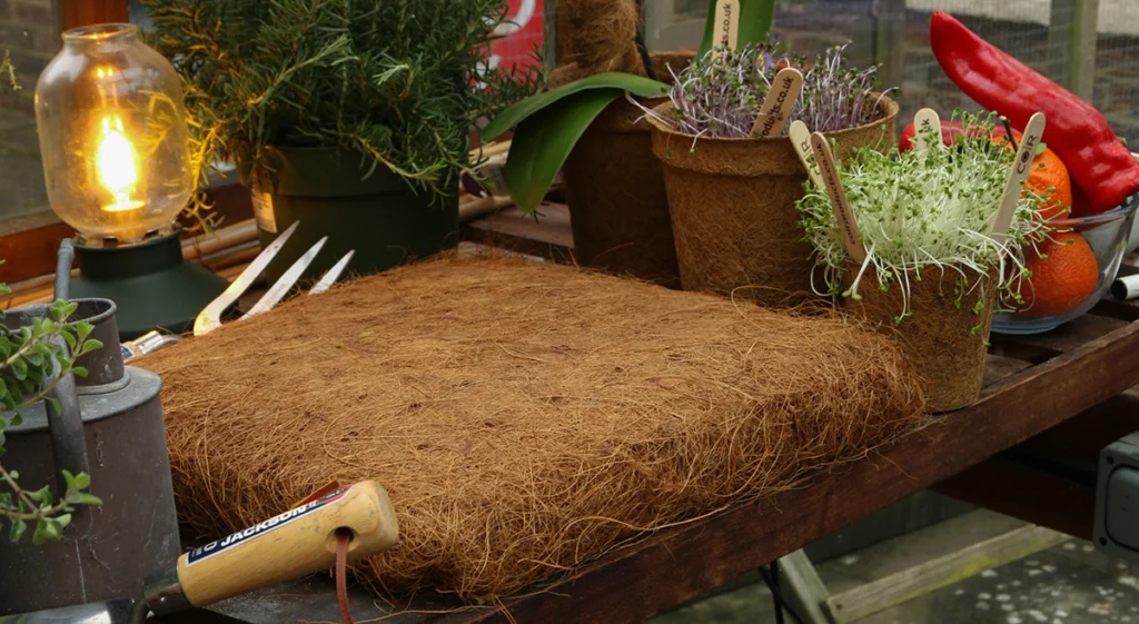 Late spring gardening checklist