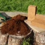 Natural, biodegradable, and peat-free growing with CoirProducts coir potting mix