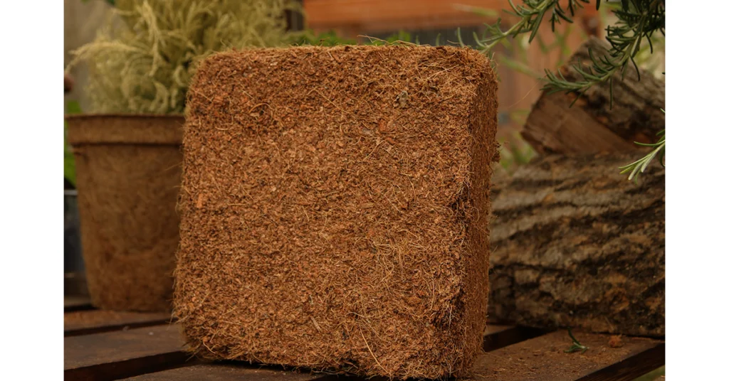 Peat-free coir potting mix for all