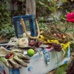 Step-into Autumn with CoirProducts.co.uk