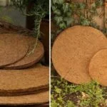 Using coir mulch mats in winter