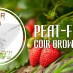 Peat-free CoirProducts.co.uk coir growbags