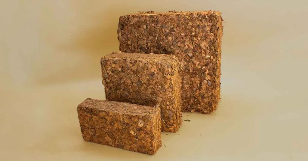 Winter mulching with CoirProducts.co.uk