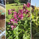 Don’t give up as it gets easier!