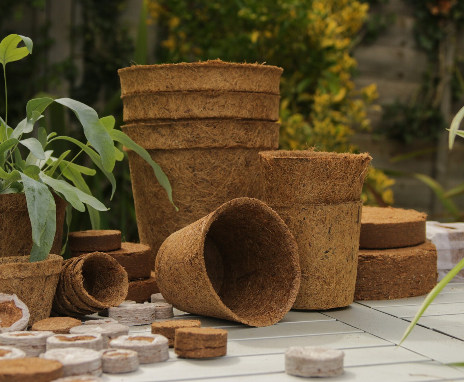 How to Use Coir in Your Garden This Growing Season