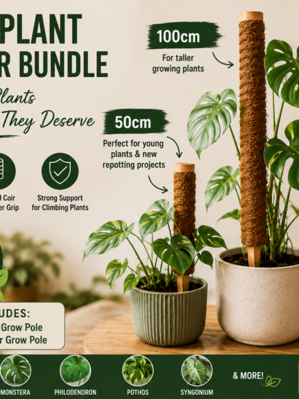 Houseplant Starter Bundle  | 50cm and 100cm Coir Grow Poles for Monstera, Philodendron & Pothos