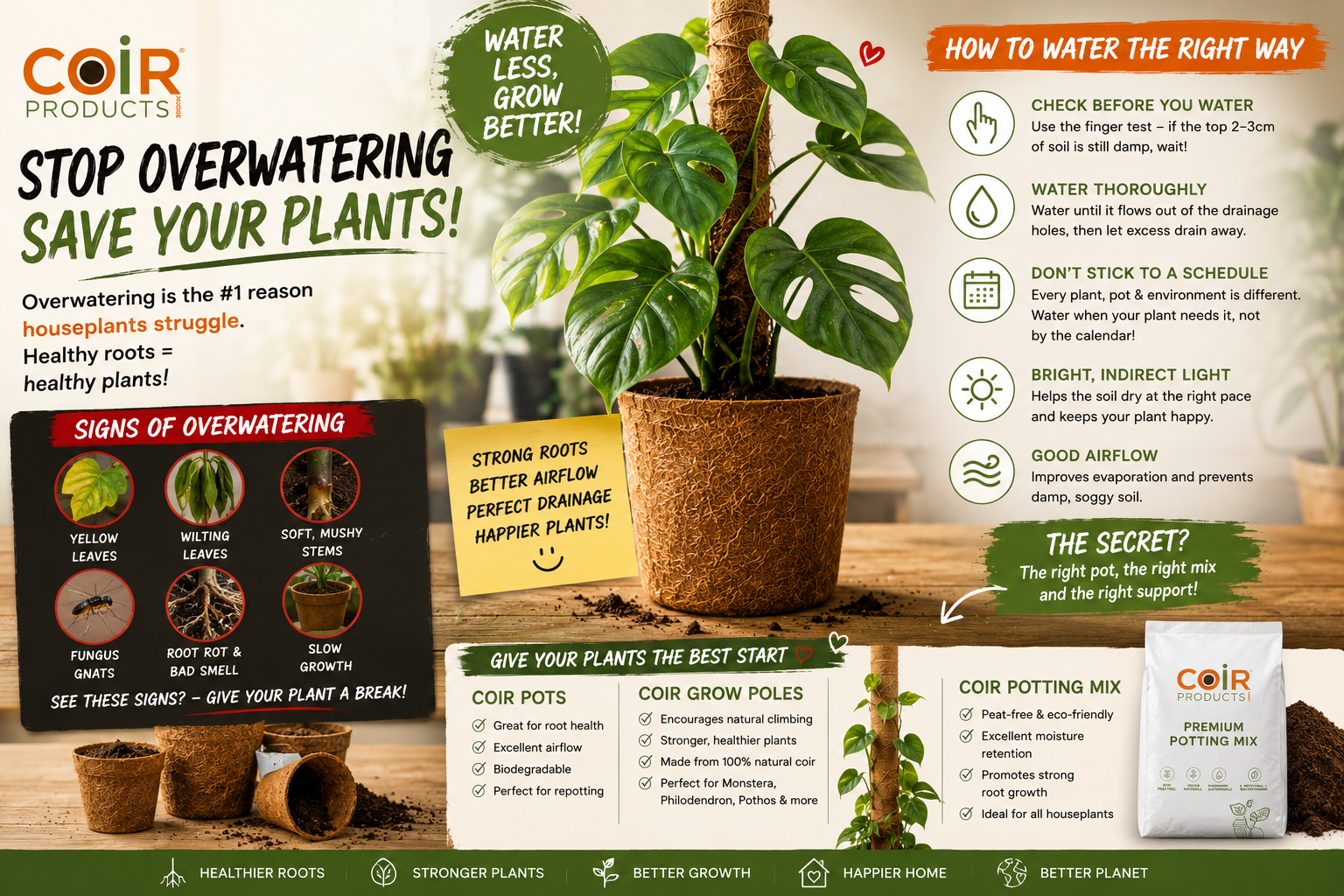 How to Stop Overwatering Houseplants: The Complete Guide to Healthier Indoor Plants